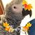 Claudia Lamp's profile image