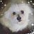 Carrie Ann's profile image
