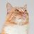 Gregory Smith's profile image