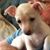 Pam Brown's profile image