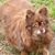 Shirley Barzano's profile image