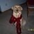 Dar Nottage Jakomeit's profile image
