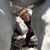 Myranda Tischer's profile image