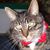 Gwen Beaudry-Cooper's profile image