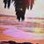 J Concepcion Perez's profile image