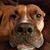 Marcus Lee Jones's profile image