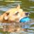 Jenny Heron's profile image