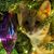 Julie Lewis's profile image