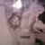 Maude Diane Foster's profile image
