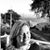 Laurie Kubicek's profile image