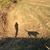 Debra Garcia's profile image