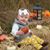 Scarlet Maners Swanner's profile image