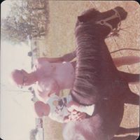 Anonymous's profile image
