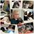 Diane Lake's profile image