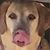 Danielle Asmus Smith's profile image