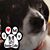 Jeannine Guenther's profile image