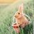 Gessi Klark's profile image