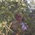 Debra Haynes's profile image