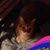 Anna Kresmer's profile image