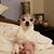 Rhonda Deneen Ivey's profile image