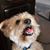 Ladonna Boyd's profile image