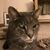 Janet Reisinger's profile image