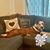 Barbara Sternberg-Garmon's profile image