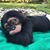 Donna Tibbetts Smith's profile image