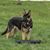 Jacque Long McNeal's profile image