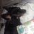 Vicki Burroughs's profile image