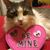 Ken Susan Handy's profile image