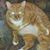 Colleen Morrall's profile image