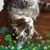 Patricia A. Drives's profile image