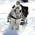 Linda Olson's profile image