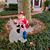 Robyn Stump Lawrence's profile image