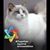 Sousan Moniriasl's profile image
