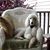 Patricia Joyner's profile image