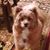 Julie Daniel Post's profile image