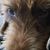 Ryan Aldrich's profile image