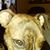 Kevin Buycks's profile image