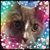 Lisa Bennett Yearian's profile image