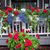 Eileen Barrett Enzenbacher's profile image