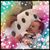 Linda DiCicco Confessore's profile image