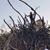 Ellery Talmo's profile image