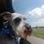 Juana Hilda Johnson's profile image