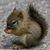 Bev Lupton's profile image
