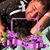 John Pesola's profile image