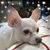 Kelly Hogge Drackert's profile image
