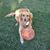 Angie Otoole's profile image