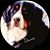 Celeste Moulton's profile image
